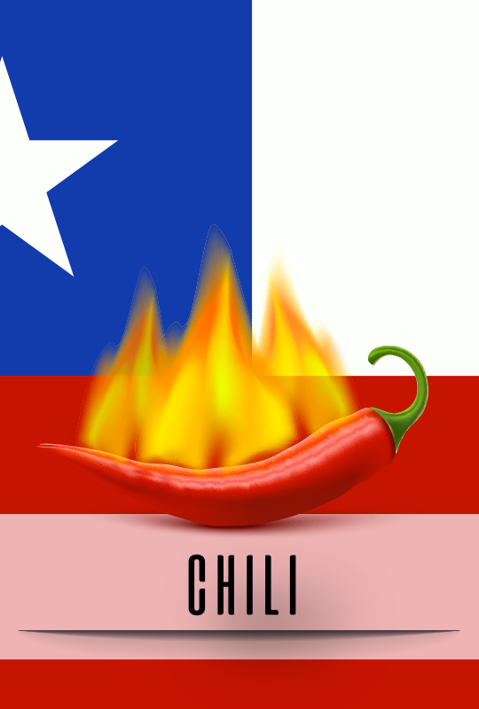 enfants-pays-chili-67112564c98b3813032415.png