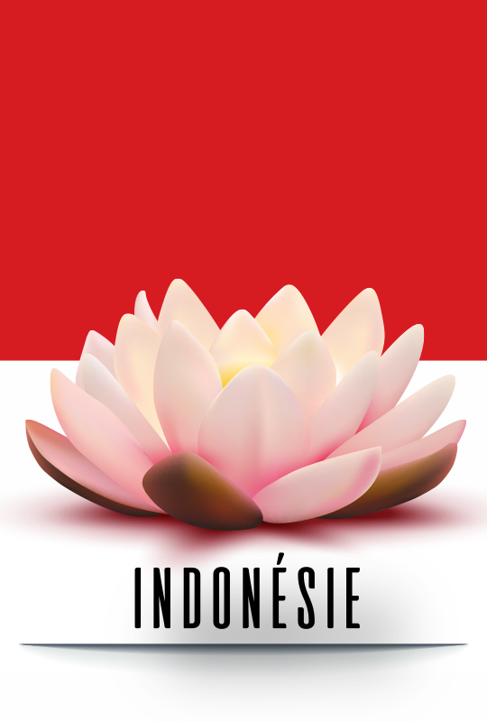 enfants-pays-indonesie-668ff6583ee39886443756.png