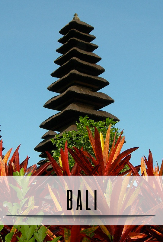 enfants-pays-bali-67111096e3002450818605.png