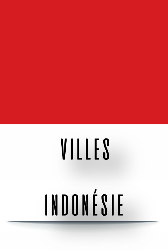 enfants-pays-indonesie-6710ed5e45fb8750839885.png