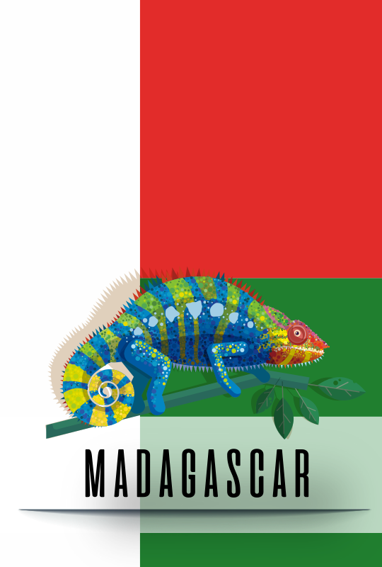 enfants-pays-madagascar-671129596154e331019207.png