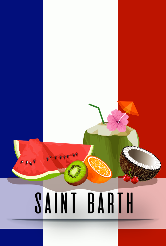 enfants-pays-st-barth-66880340cf240638171312.png